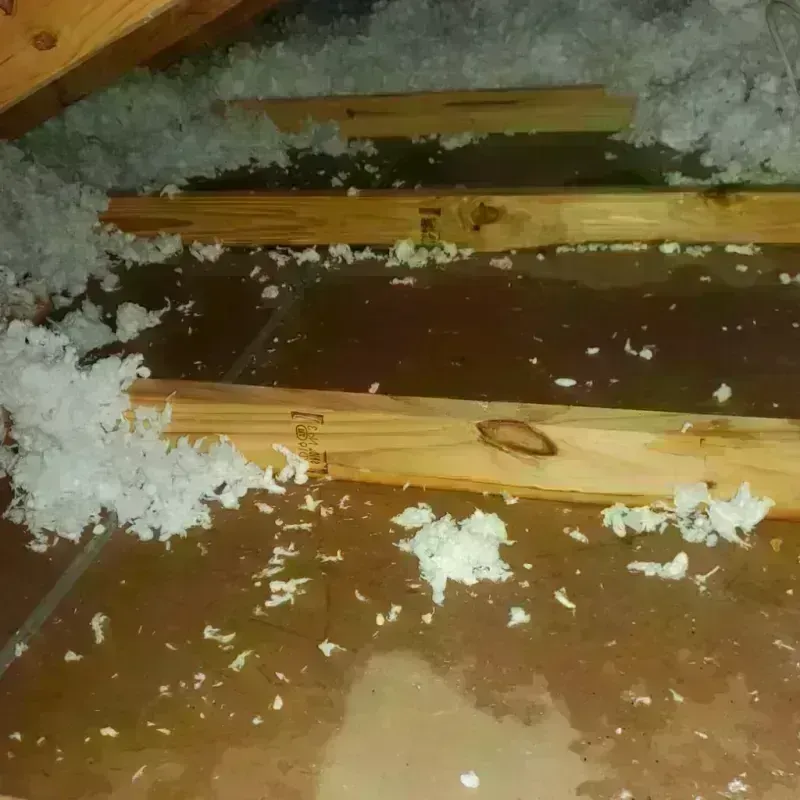 Attic Water Damage in Yoncalla, OR